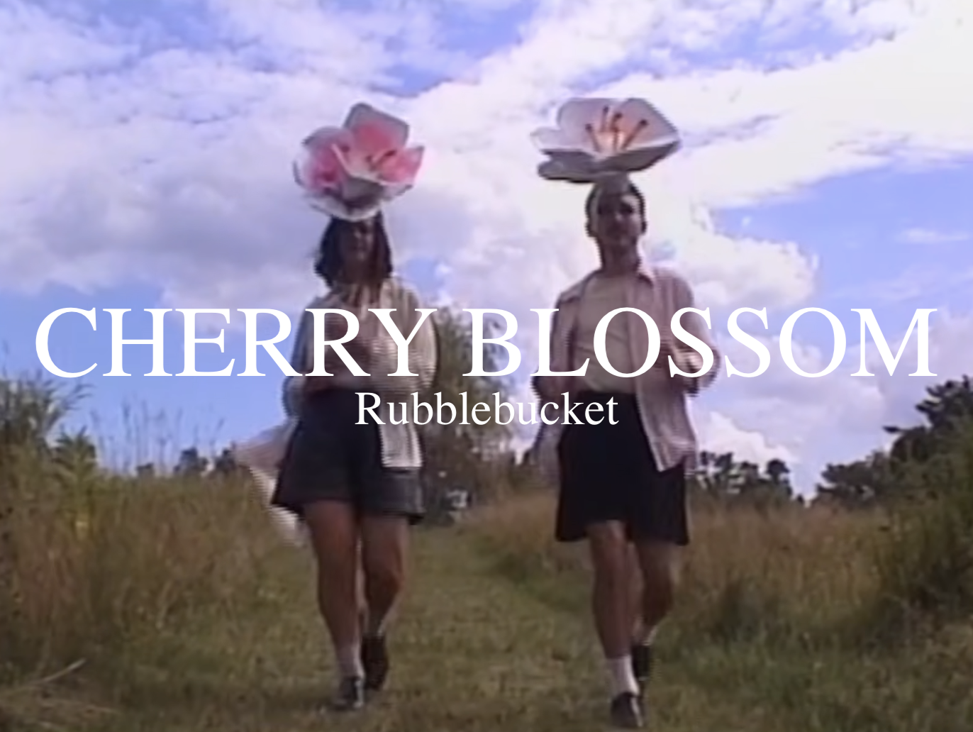 Cherry Blossom